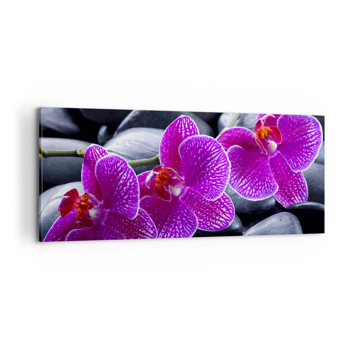 Tablou pe pânză - Pietrele s-au luminat de încântare - 100x40 cm
