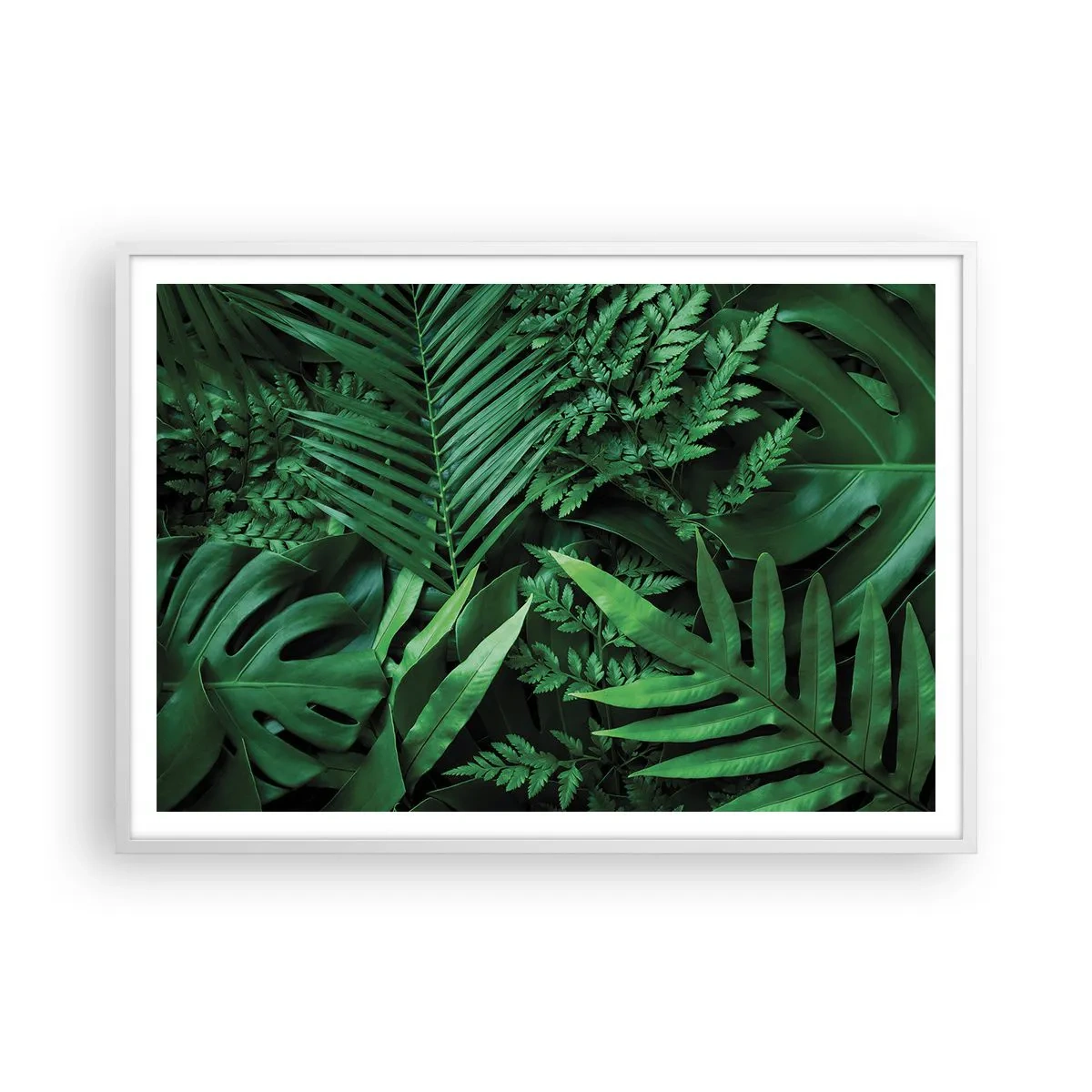 Poster în ramă albă - Înfășurate în verde - 100x70 cm