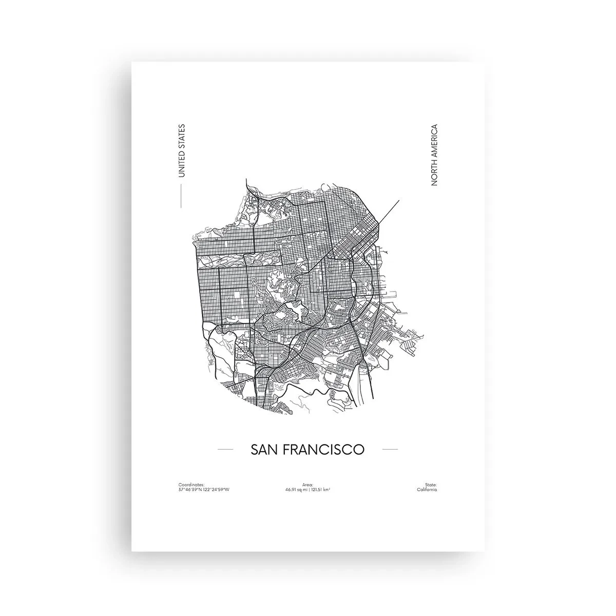 Poster - Anatomia San Francisco - 50x70 cm