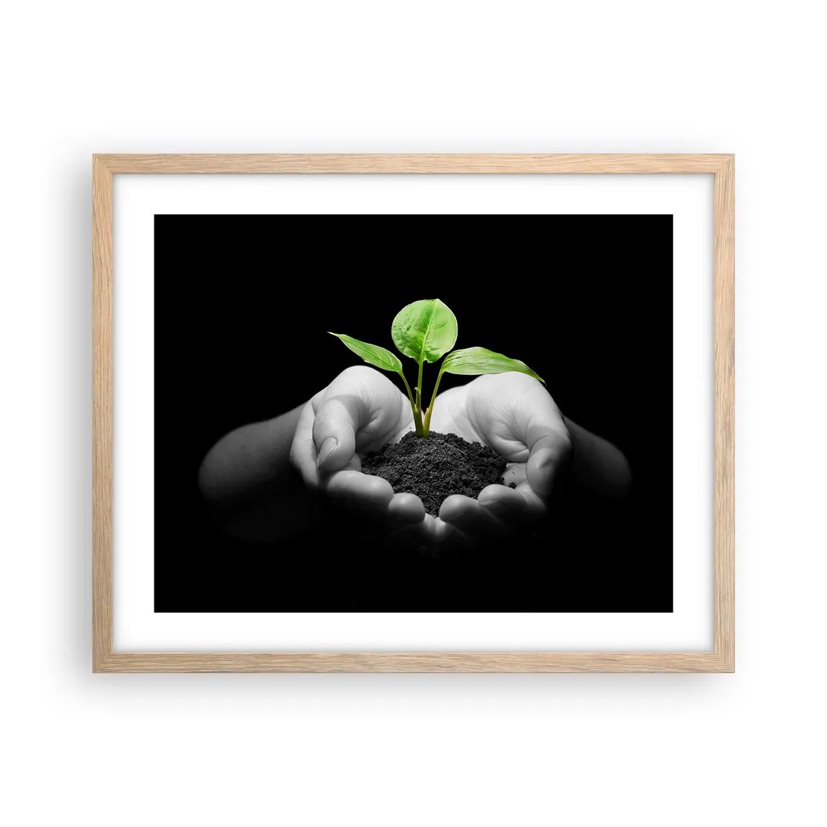 Poster în ramă de stejar deschis - Iubesc natura, o protejez - 50x40 cm