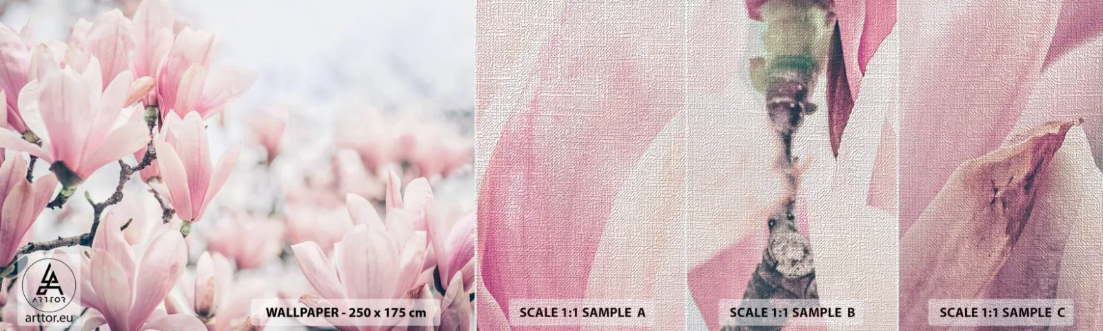 Mostră tapet Premium Canvas - Idealul de subtilitate - Magnolie, Flori, Arborele Magnolia - 100x30 cm