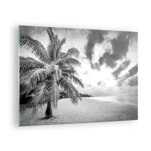 Tablou pe sticlă - Un palmier alb-negru pe o plajă goală, cu cer înnorat. - 70x50cm - Când tânjești după singurătate... - Decorațiune modernă pentru perete pentru living și dormitor ARTTOR