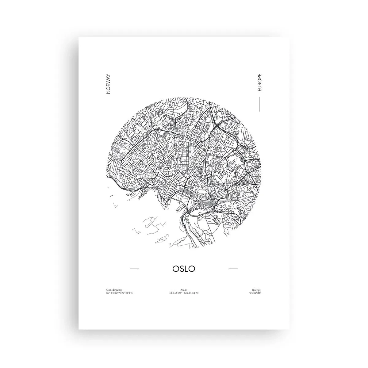 Poster - Anatomia Oslo - 50x70 cm