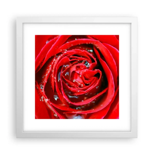Poster în ramă albă - În picături de rouă - 30x30 cm