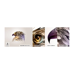Mostră tapet autocolant Deluxe Sticker - Portretul unui războinic - Abstracția, Vultur, Pasăre - 100x30 cm