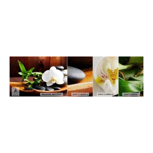 Mostră tapet Premium Canvas - Lasă natura să te atingă - Flori, Orhidee, Orhidee - 100x30 cm