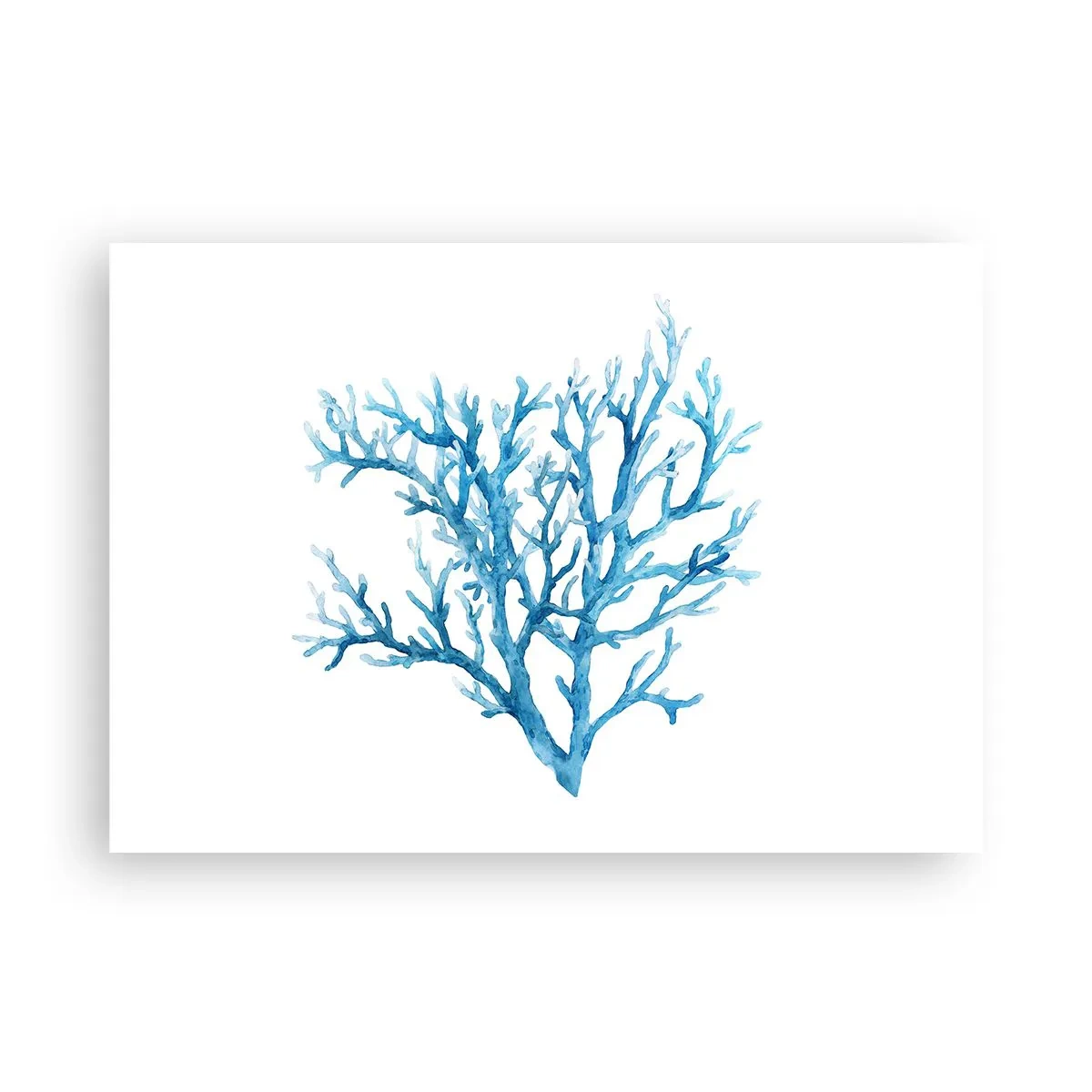 Poster - Filigranul marin - 100x70 cm