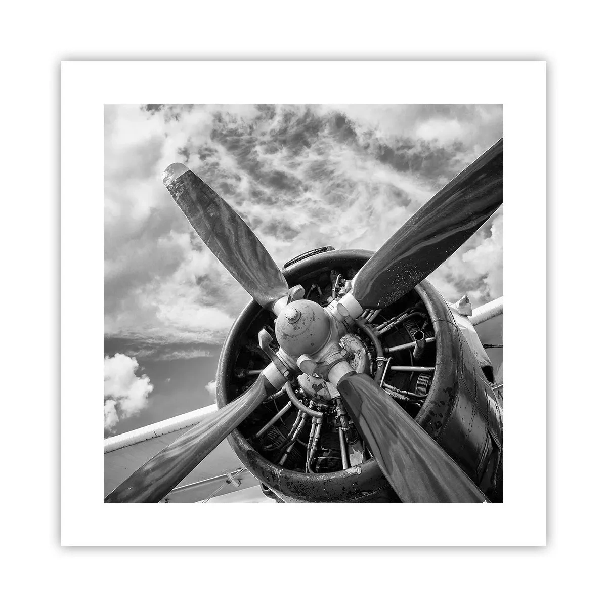 Poster - Cuceritorul cerului - 40x40 cm