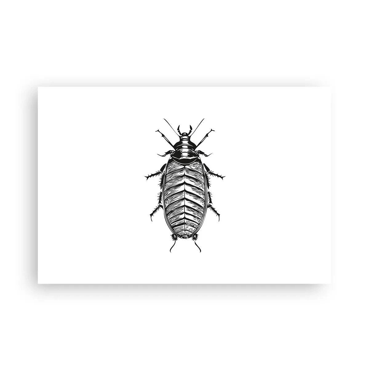 Poster - Ce specimen! - 91x61 cm