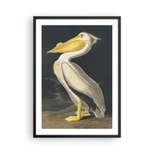 Poster în ramă neagră - Pelican într-o ilustrație clasică pe un fundal întunecat - 50x70cm - Plin de mândrie - Decorațiune modernă pentru perete pentru living și dormitor ARTTOR