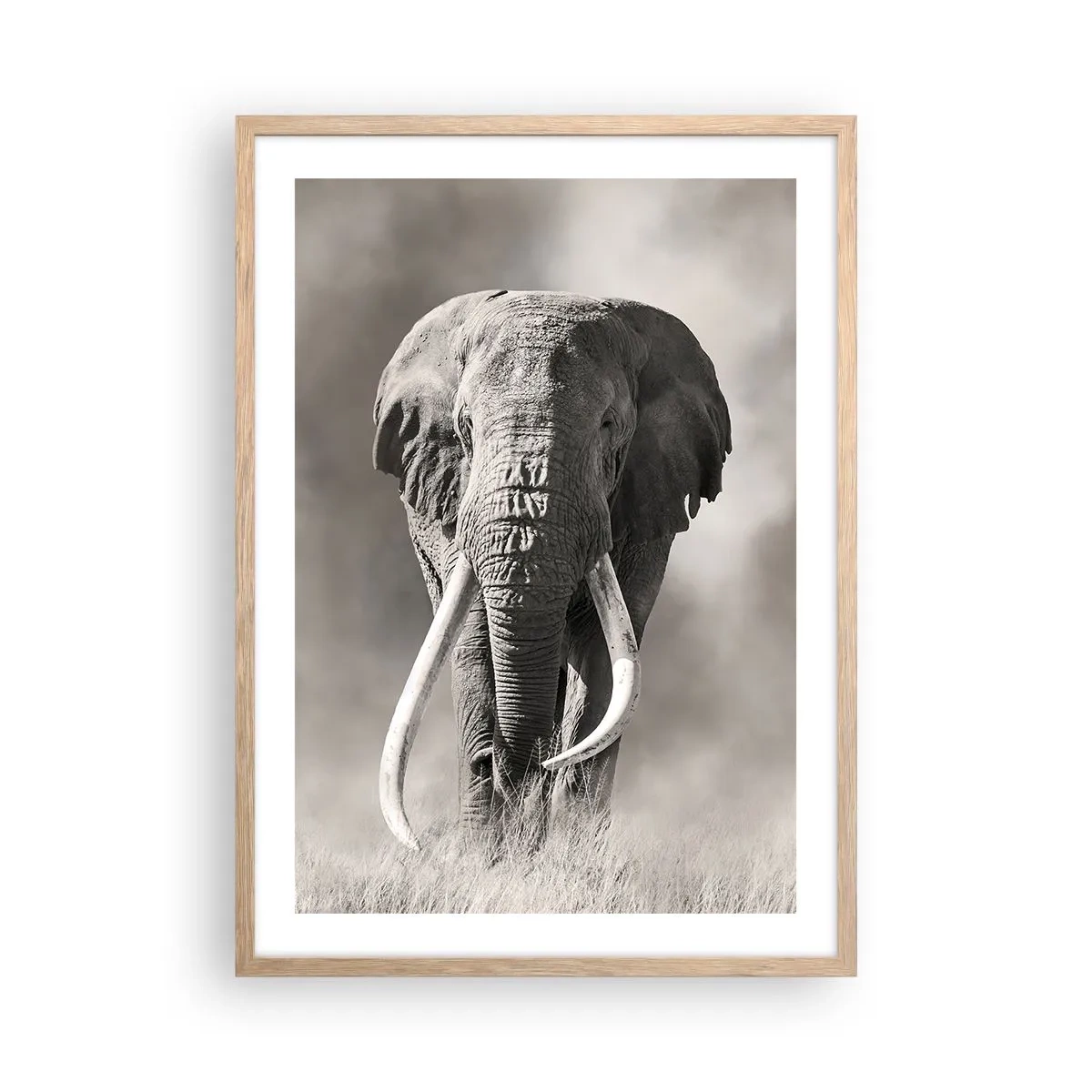 Poster în ramă de stejar deschis - Patriarh african - 50x70 cm