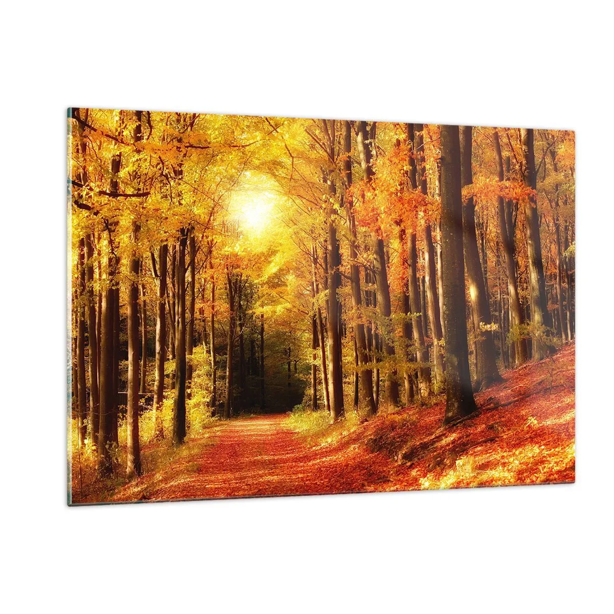 Tablou pe sticlă - Toamna de aur pe un drum forestier - 120x80 cm