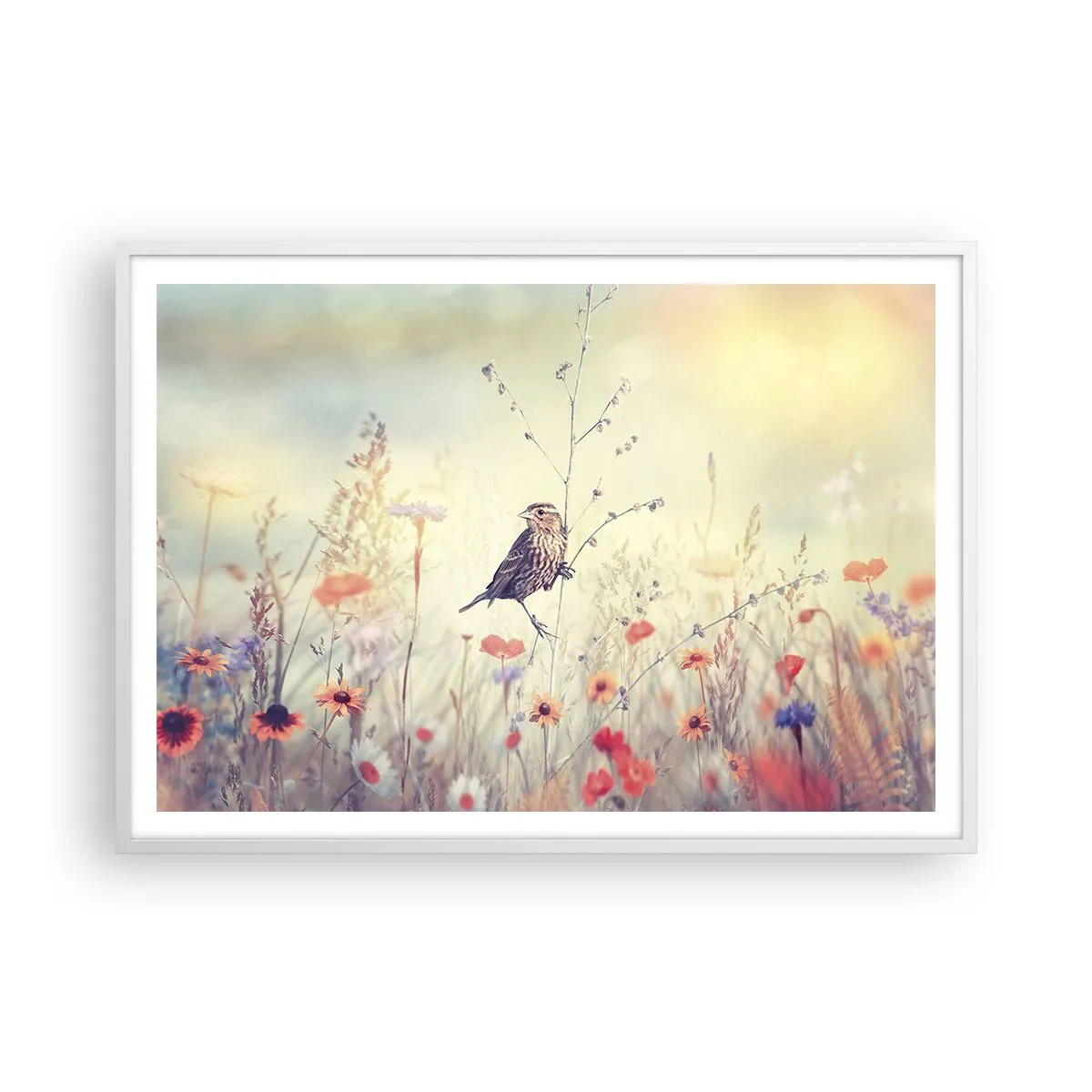 Poster în ramă albă - Portret de pasăre cu o pajiște în fundal - 100x70 cm