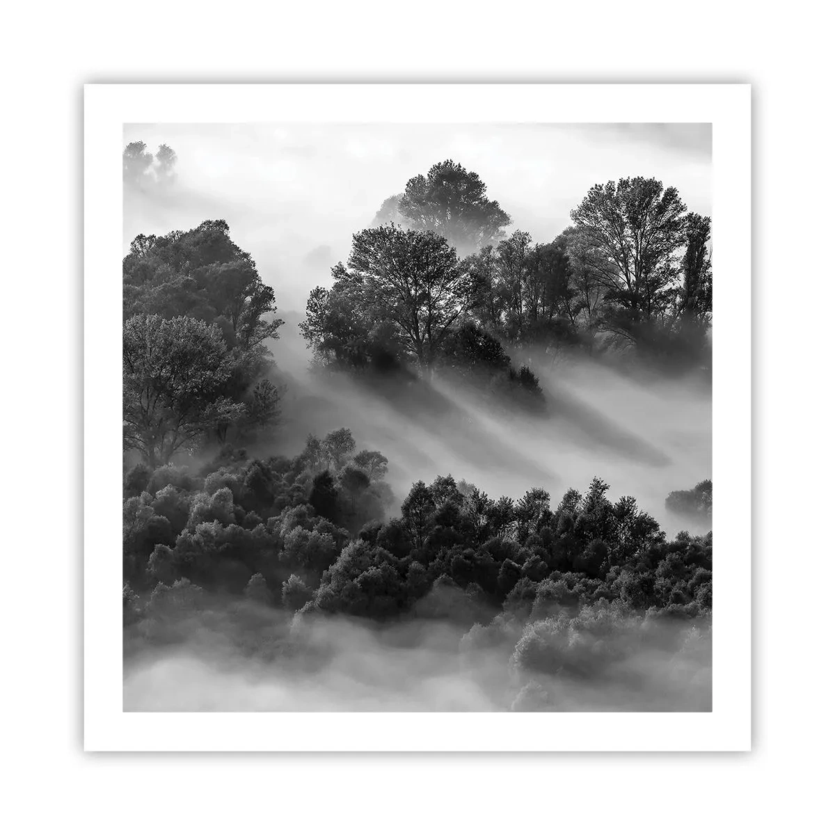 Poster - Trezindu-se din somn - 60x60 cm