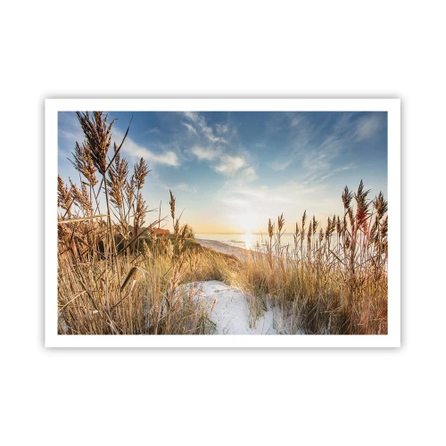 Poster - Plaja de nord - 100x70 cm