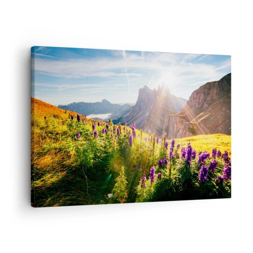 Tablou pe pânză Canvas - Peisaj montan cu flori în lumina soarelui care răsare - 70x50cm - Viața secretă a ierburilor - Decorațiune modernă pentru perete pentru living și dormitor ARTTOR