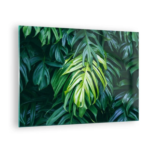 Tablou pe sticlă - Frunze verzi luxuriante de monstera în lumină naturală - 70x50cm - Scufundă-te în prospețime - Decorațiune modernă pentru perete pentru living și dormitor ARTTOR