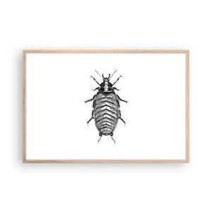 Poster în ramă de stejar deschis - Ce specimen! - 91x61 cm