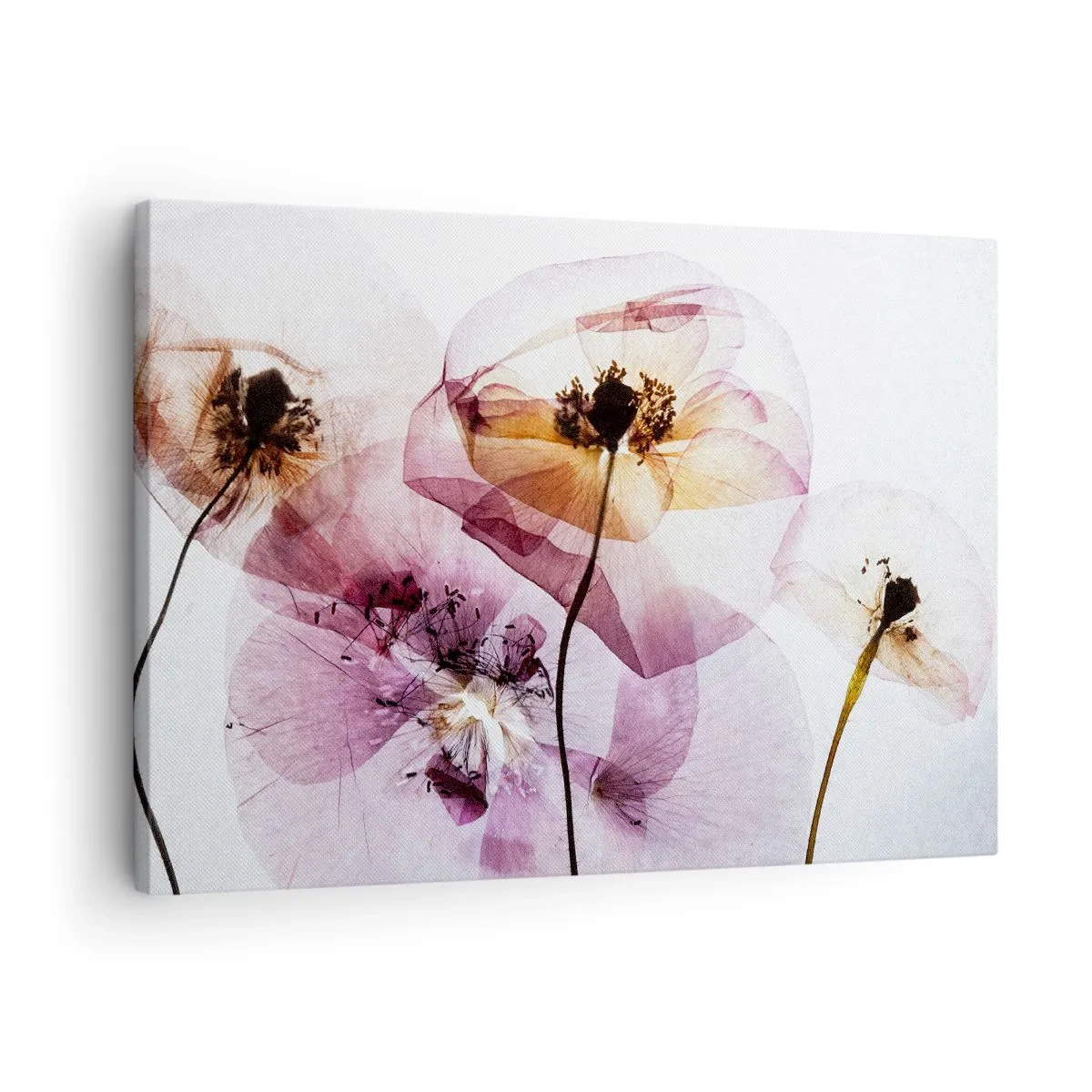 Tablou pe pânză Canvas - Flori delicate și transparente în nuanțe pastelate - 70x50cm - Corp de flori transparente - Decorațiune modernă pentru perete pentru living și dormitor ARTTOR