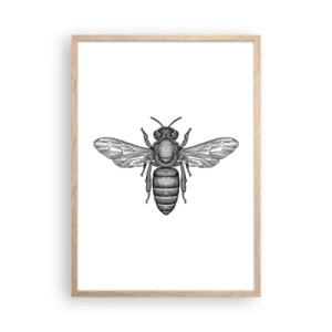 Poster în ramă de stejar deschis - Portret de insectă - 50x70 cm
