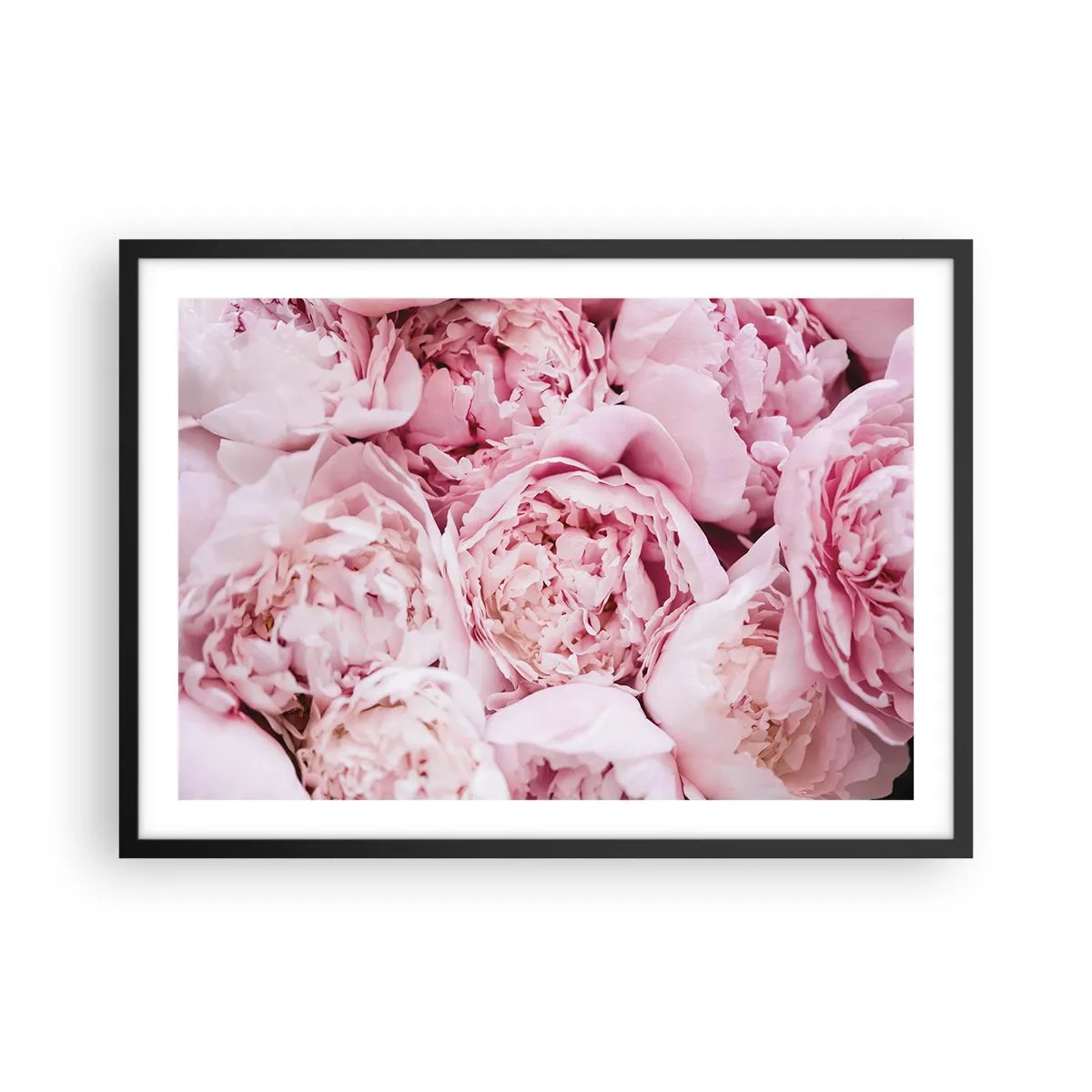 Poster în ramă neagră - Îmbrățișate și parfumate - 70x50 cm