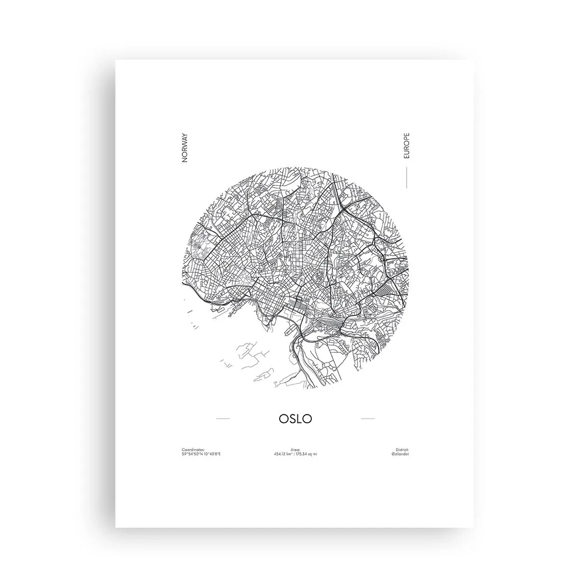 Poster - Anatomia Oslo - 30x40 cm