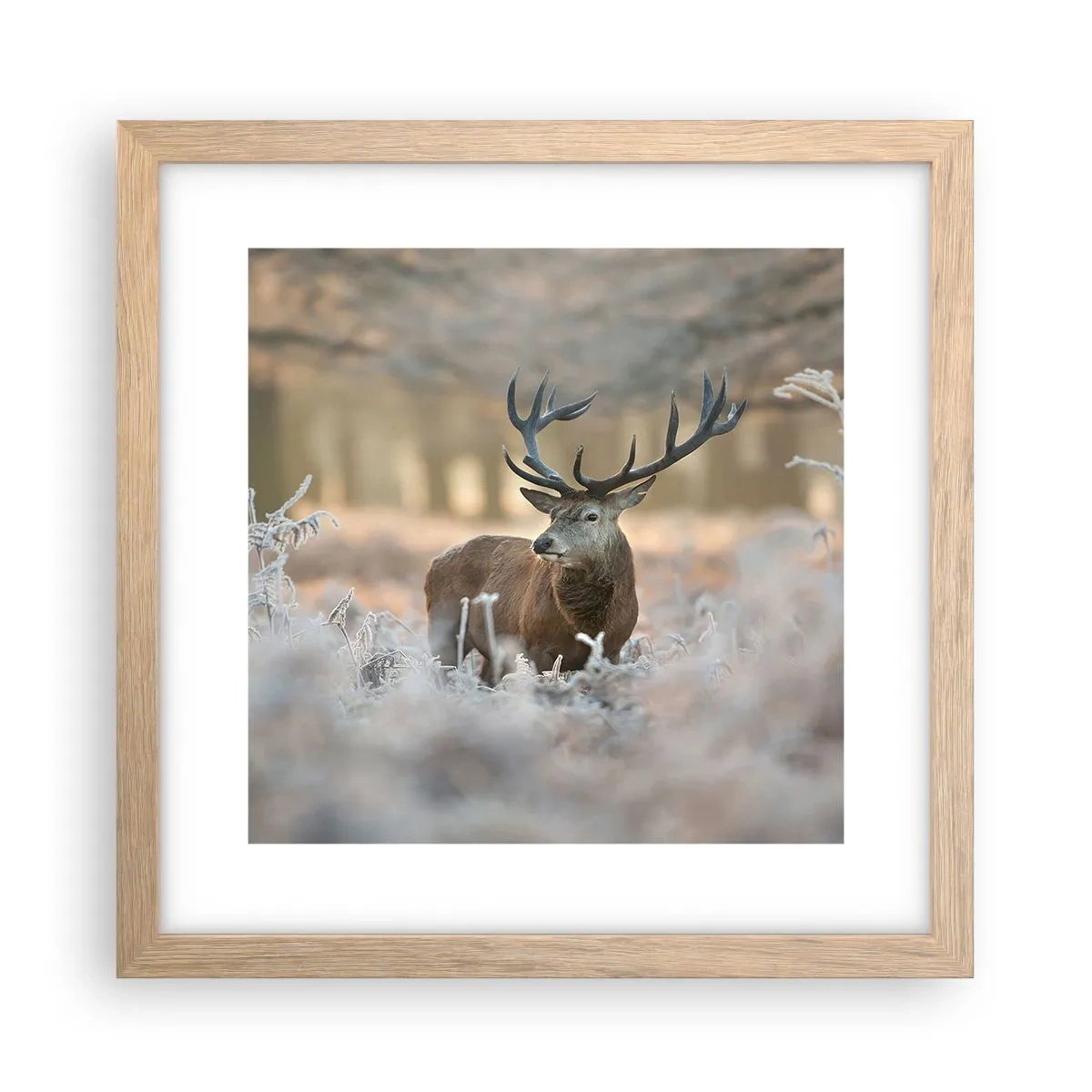 Poster în ramă de stejar deschis - O dimineață răcoroasă - 30x30 cm