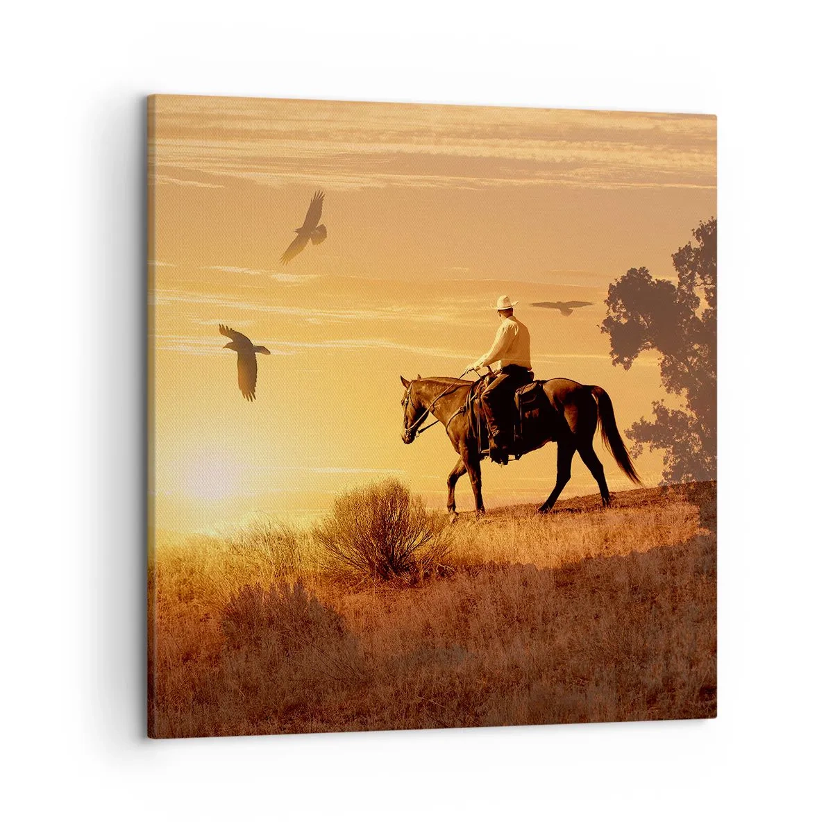 Tablou pe pânză - Singur peste prerie - 50x50 cm