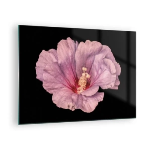 Tablou pe sticlă - Prim-plan al unei flori de hibiscus roz pe un fundal negru - 70x50cm - Direct la inimă - Decorațiune modernă pentru perete pentru living și dormitor ARTTOR