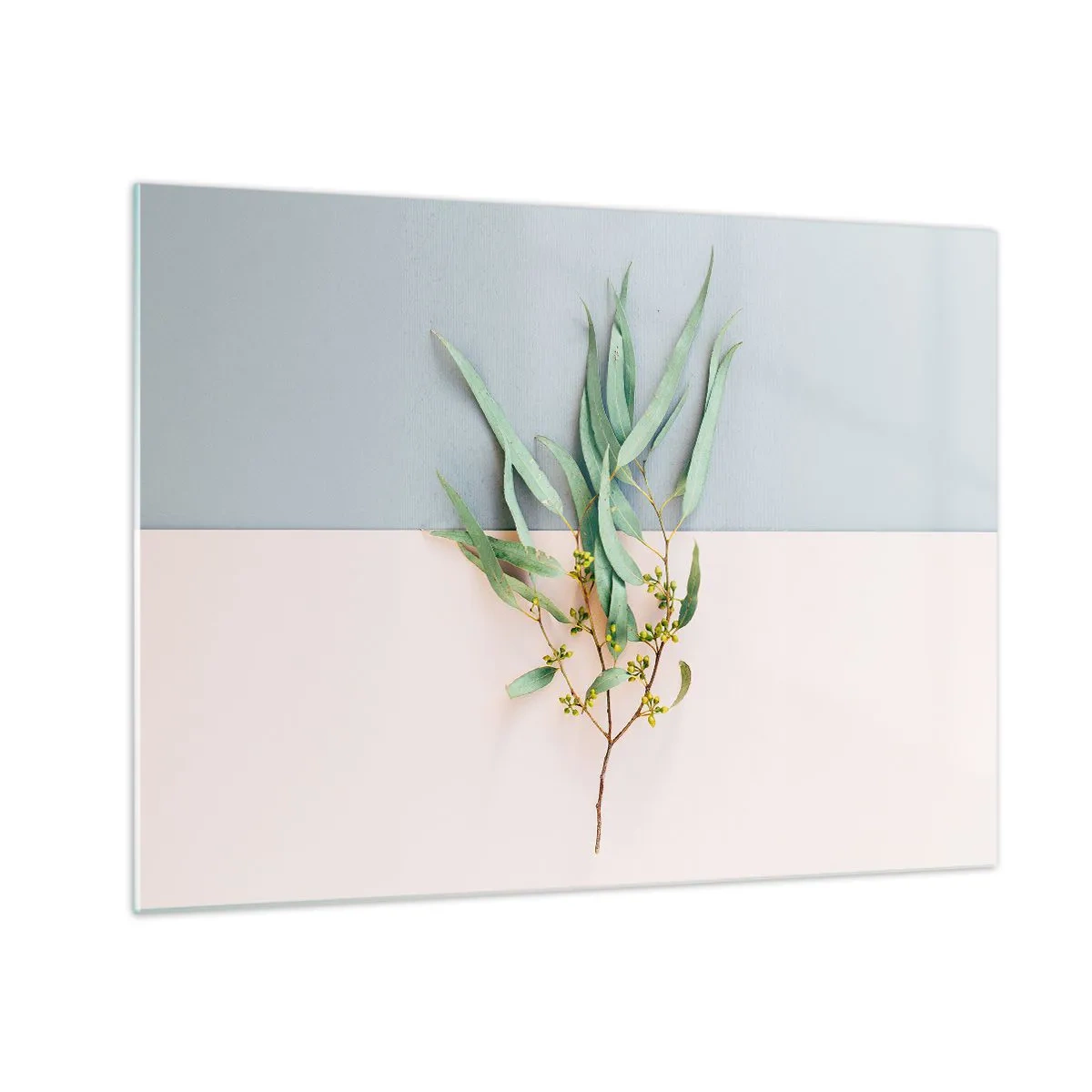 Tablou pe sticlă - O crenguță de eucalipt pe un fundal pastel - 70x50cm - Subtilitate pastelată - Decorațiune modernă pentru perete pentru living și dormitor ARTTOR