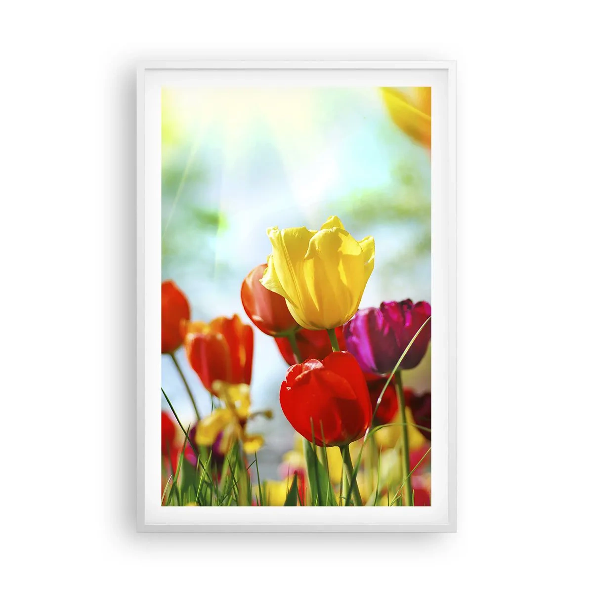 Poster în ramă albă - Toate culorile soarelui - 61x91 cm