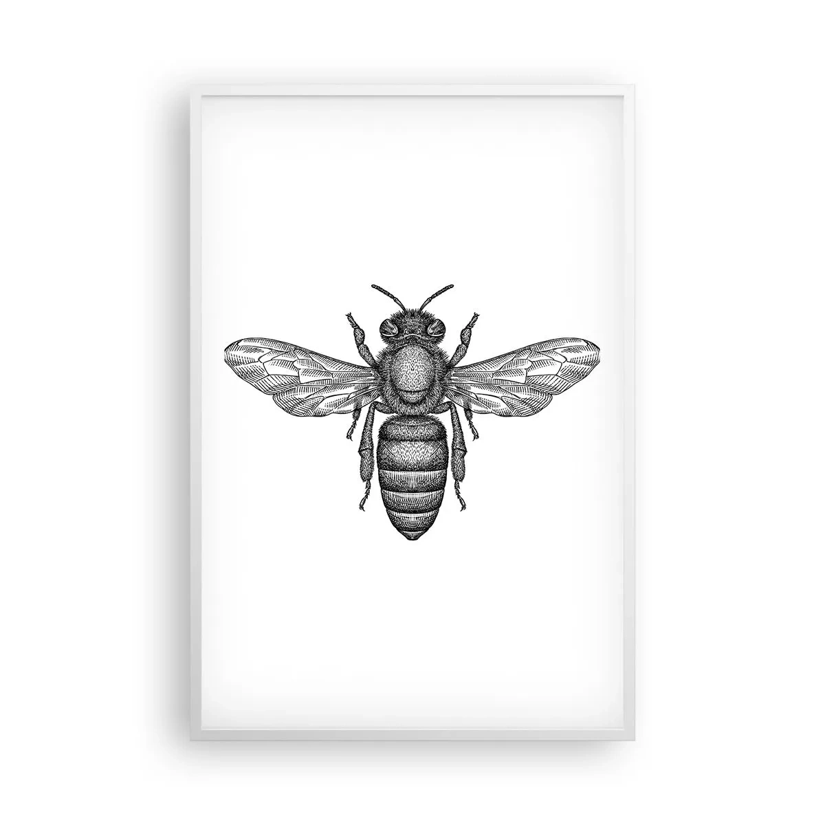 Poster în ramă albă - Portret de insectă - 61x91 cm