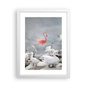 Poster în ramă albă - De unde am venit? - 30x40 cm