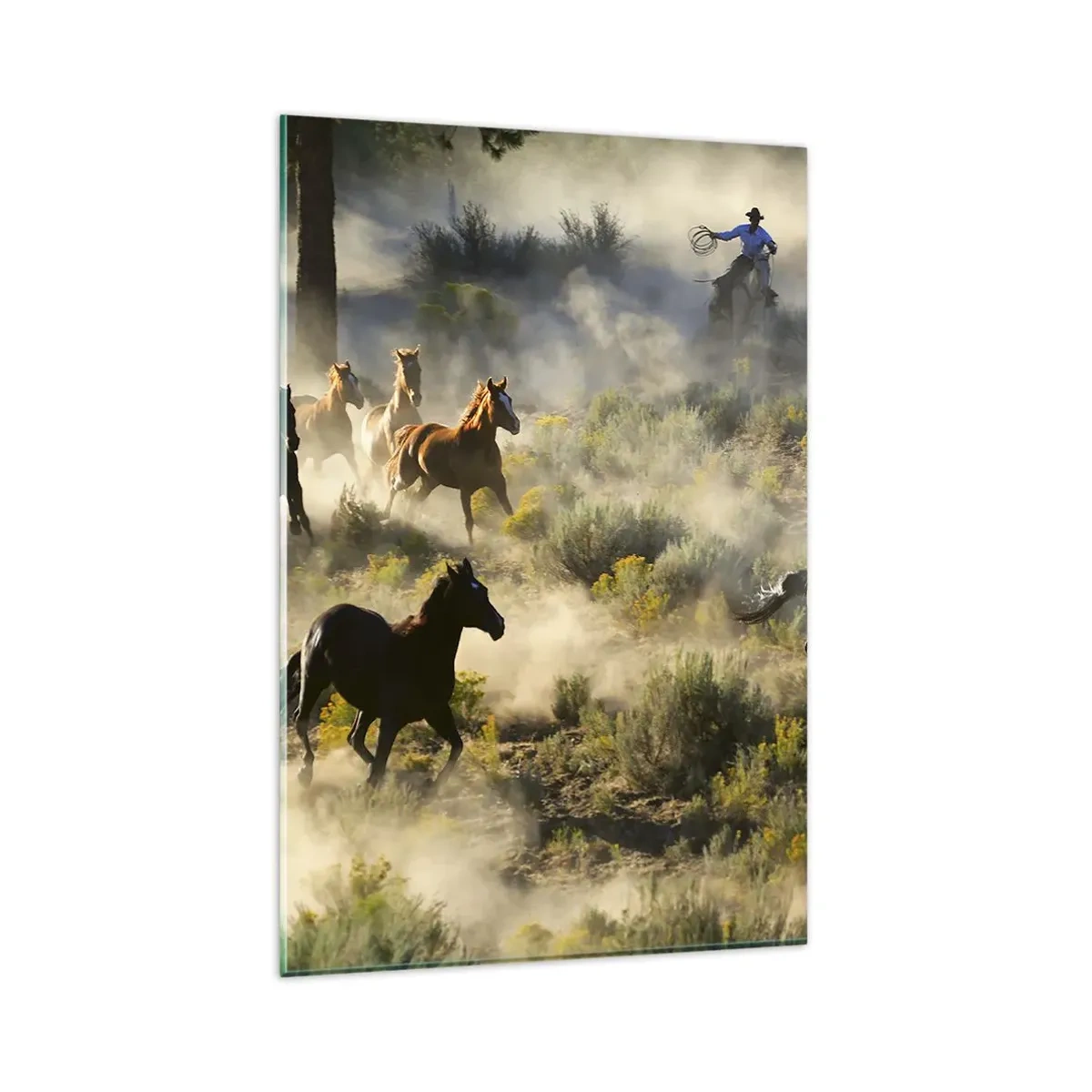 Tablou pe sticlă - Rivalitatea - libertate sau putere masculină? - 80x120 cm