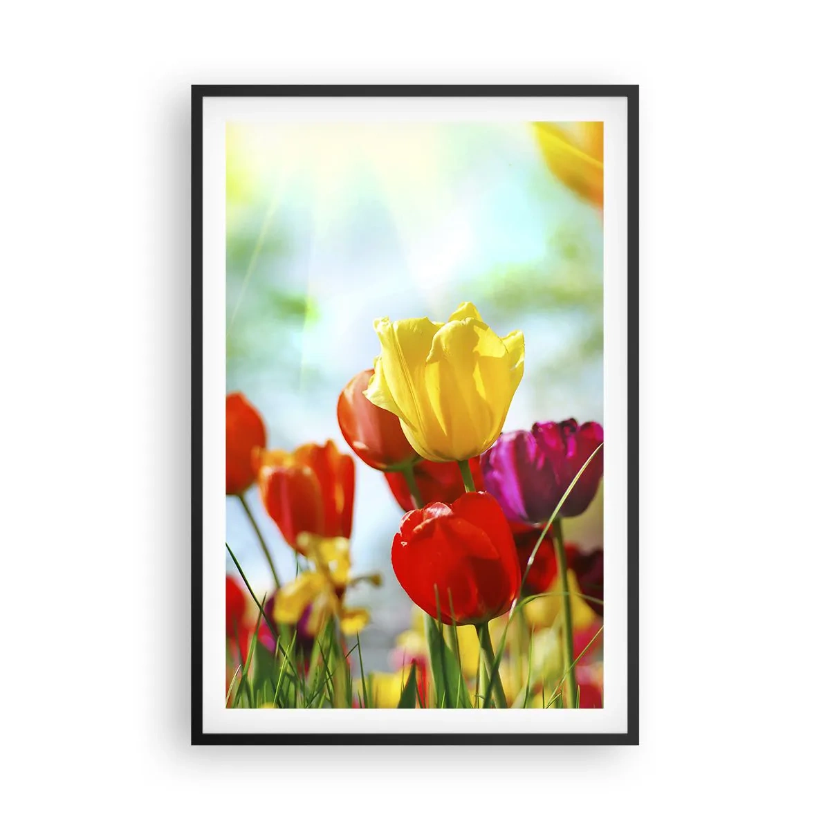 Poster în ramă neagră - Toate culorile soarelui - 61x91 cm