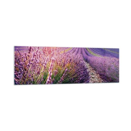 Tablou pe sticlă - Câmpul parfumat - 160x50 cm