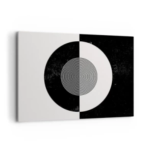 Tablou pe pânză - Armonie în alb și negru - 100x70 cm