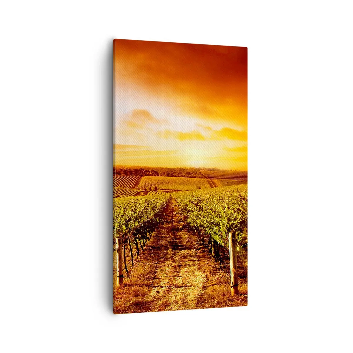 Tablou pe pânză - Cu un iz de fructe, cu o notă de soare - 55x100 cm