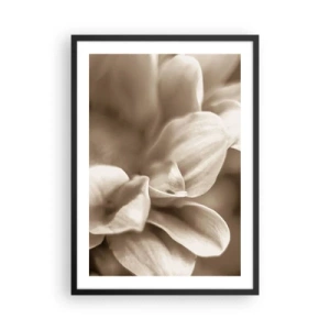 Poster în ramă neagră - Un prim-plan al unor petale de flori delicate în tonuri sepia - 50x70cm - Blânde ca un zâmbet - Decorațiune modernă pentru perete pentru living și dormitor ARTTOR