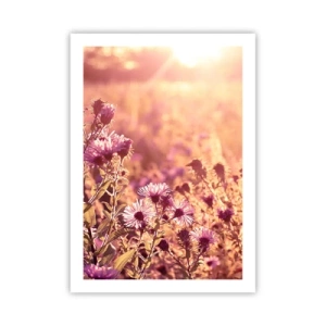 Poster - Înainte ca vara să plece - 50x70 cm