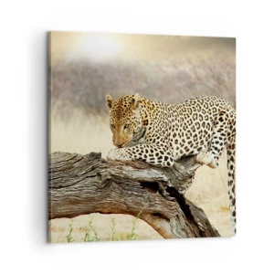 Tablou pe pânză - Mă duc pe drumul meu - 60x60 cm