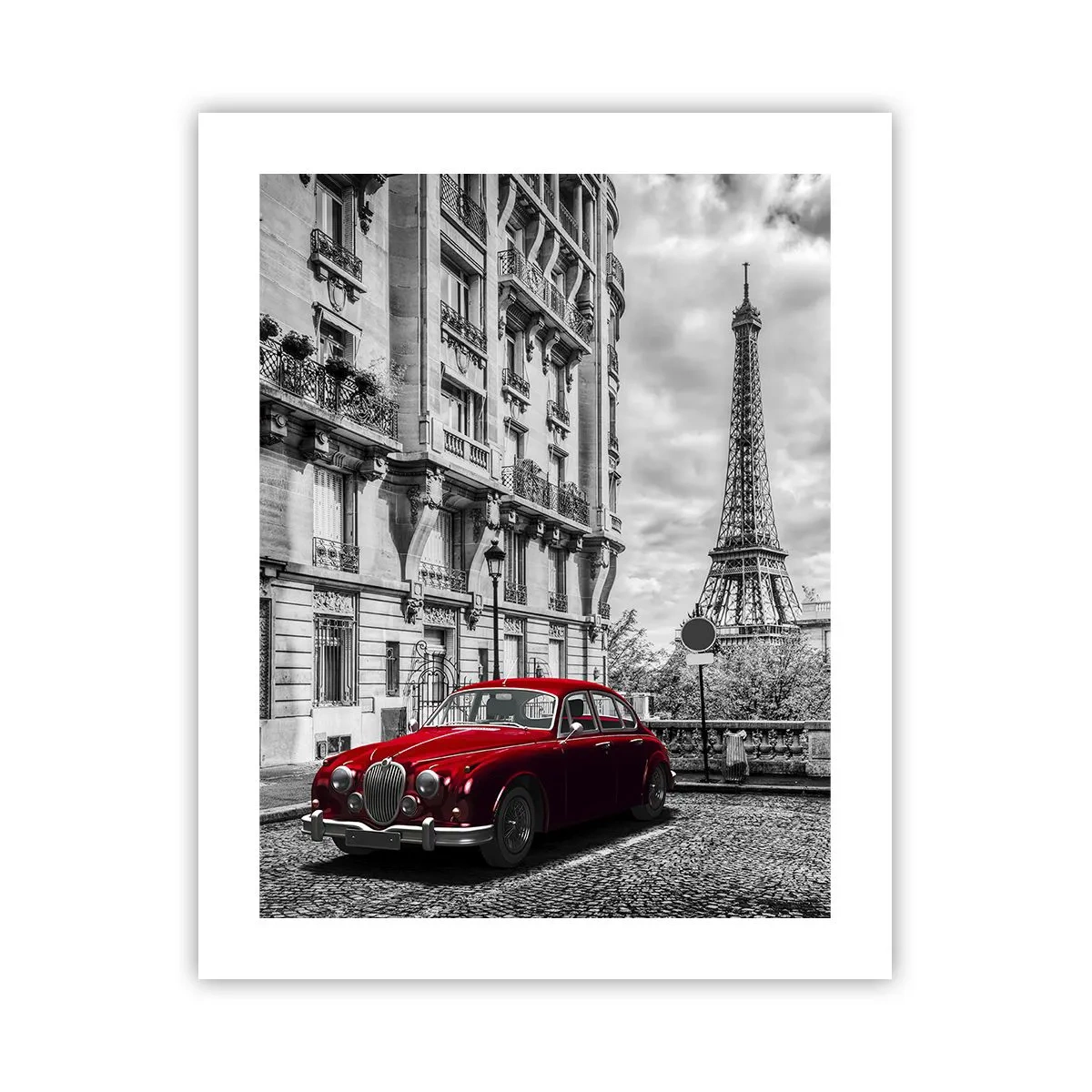 Poster - Prădător în oraș - 40x50 cm