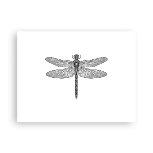 Poster - Precizia naturii - 40x30 cm