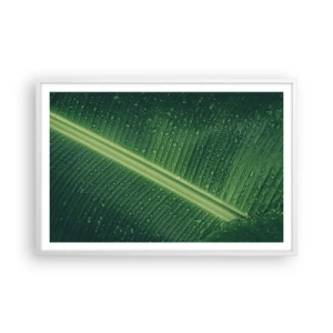 Poster în ramă albă - Structura verdelui - 91x61 cm