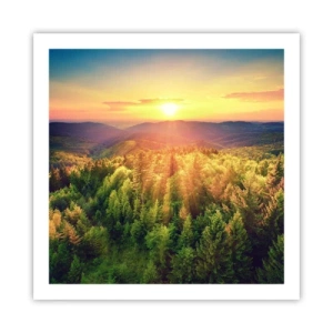 Poster - Vârfuri și culmi - 60x60 cm