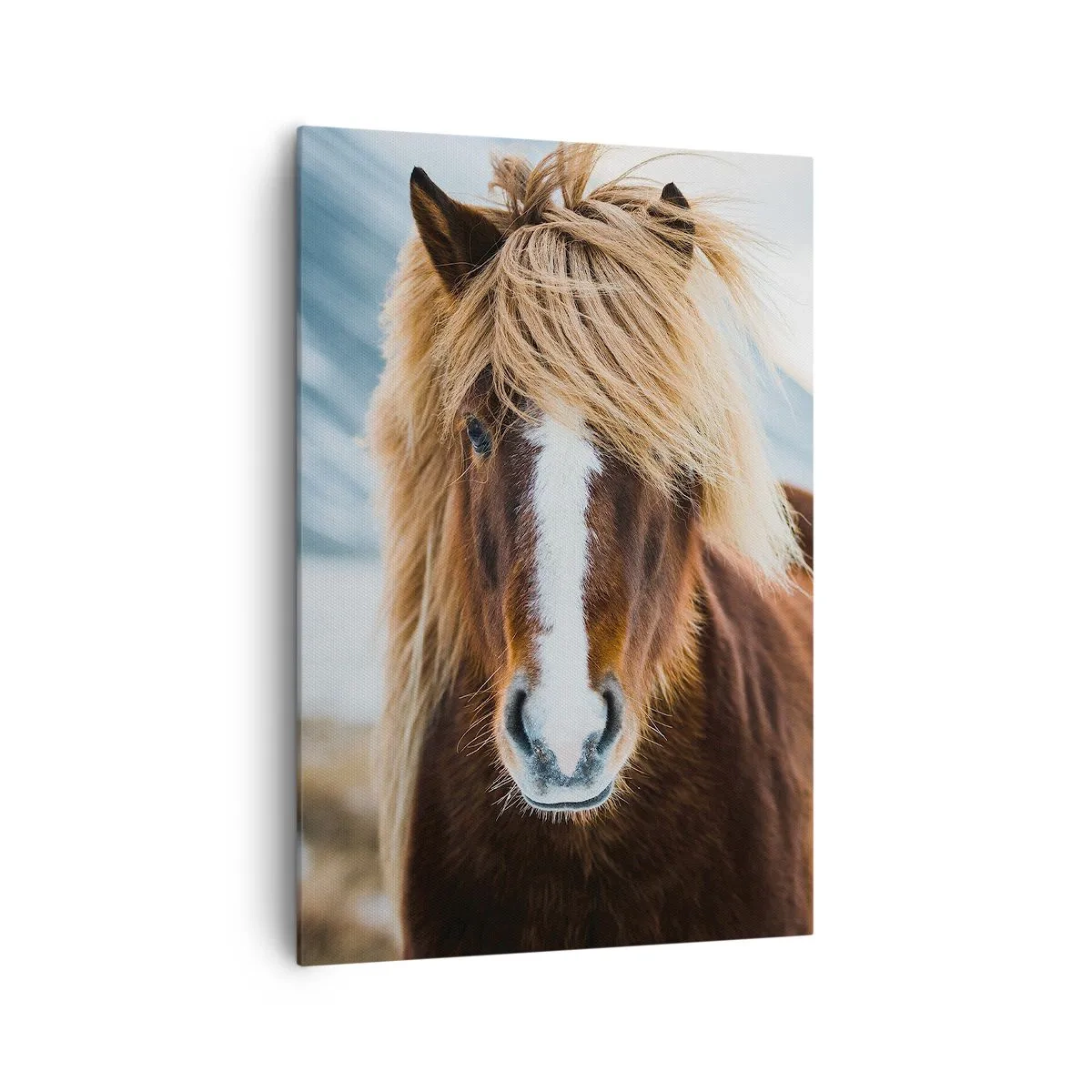 Tablou pe pânză - Simțiți libertatea? - 70x100 cm