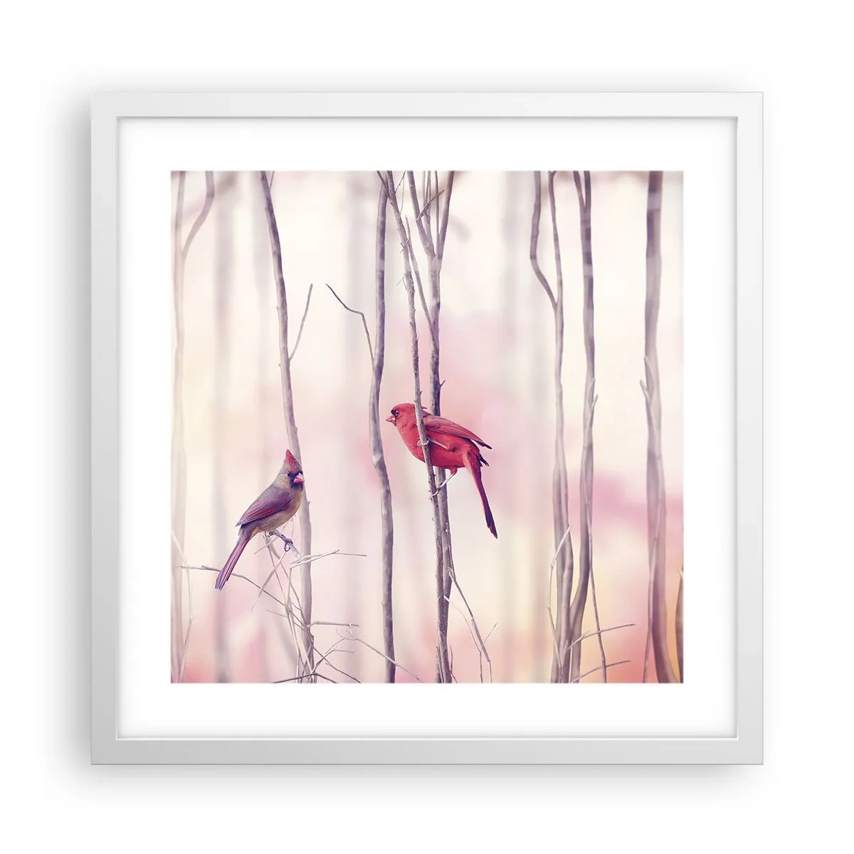 Poster în ramă albă - O poveste din Pădurea Roz - 40x40 cm