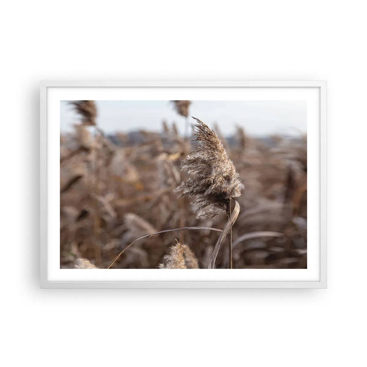 Poster în ramă albă - E timpul să zbori cu vântul - 70x50 cm