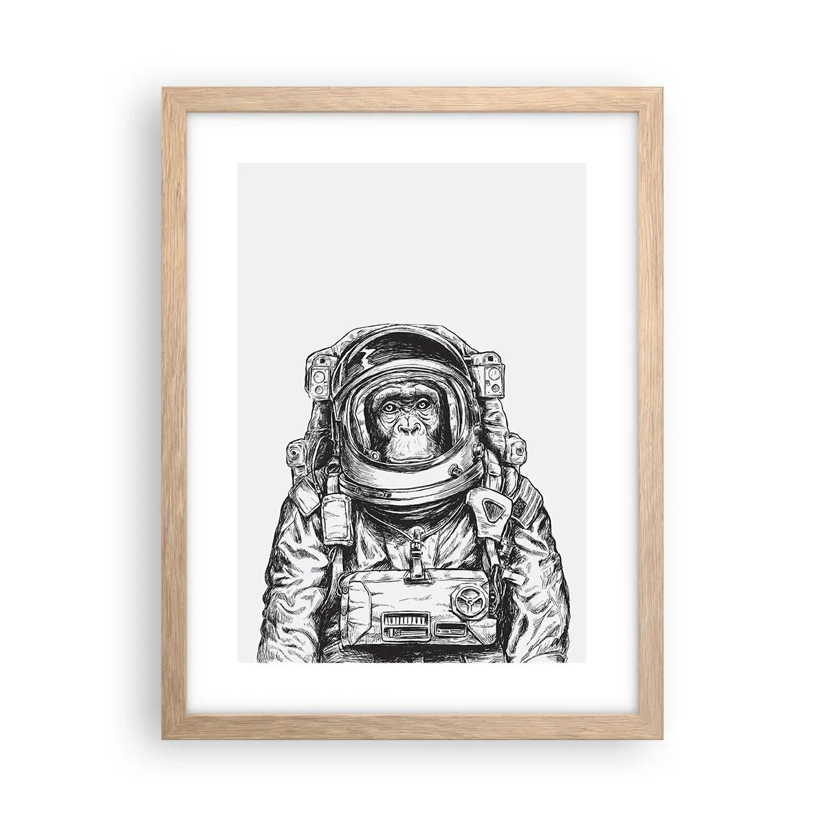 Poster în ramă de stejar deschis - Evoluție alternativă - 30x40 cm