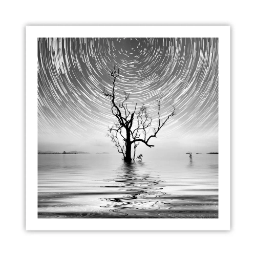 Poster - O simfonie a naturii - 60x60 cm